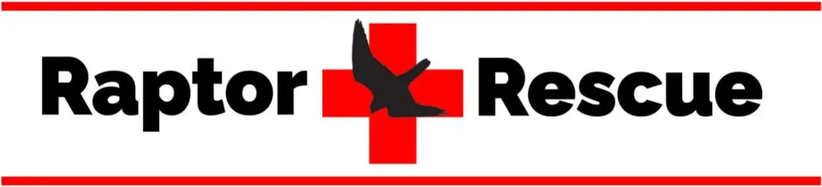 A red cross with a bird flying above it.