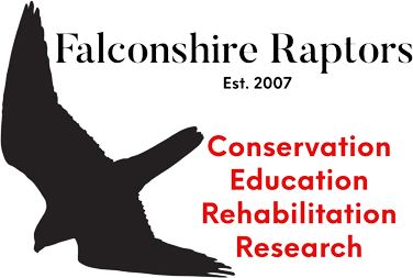A black and white image of the falconshire rape logo.