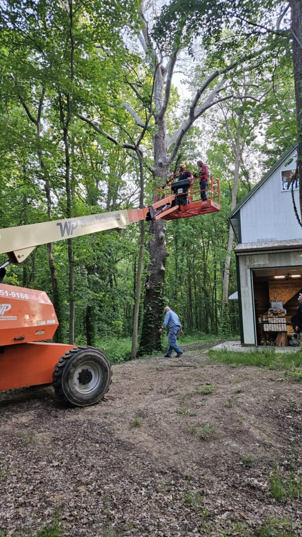 A man in an orange crane is working on the tree.