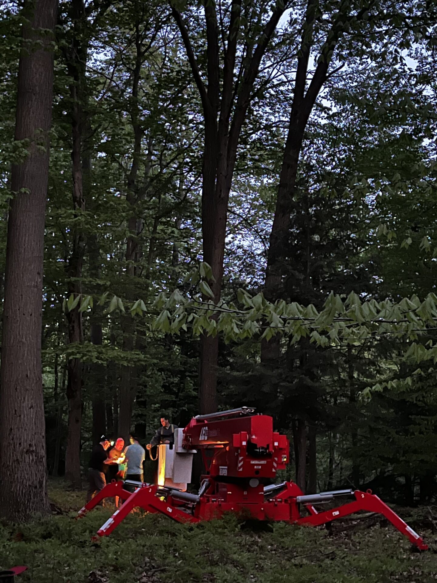 A group of people standing around in the woods.