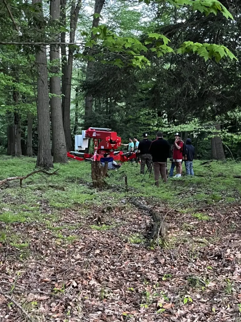 A person standing next to a horse in the woods.