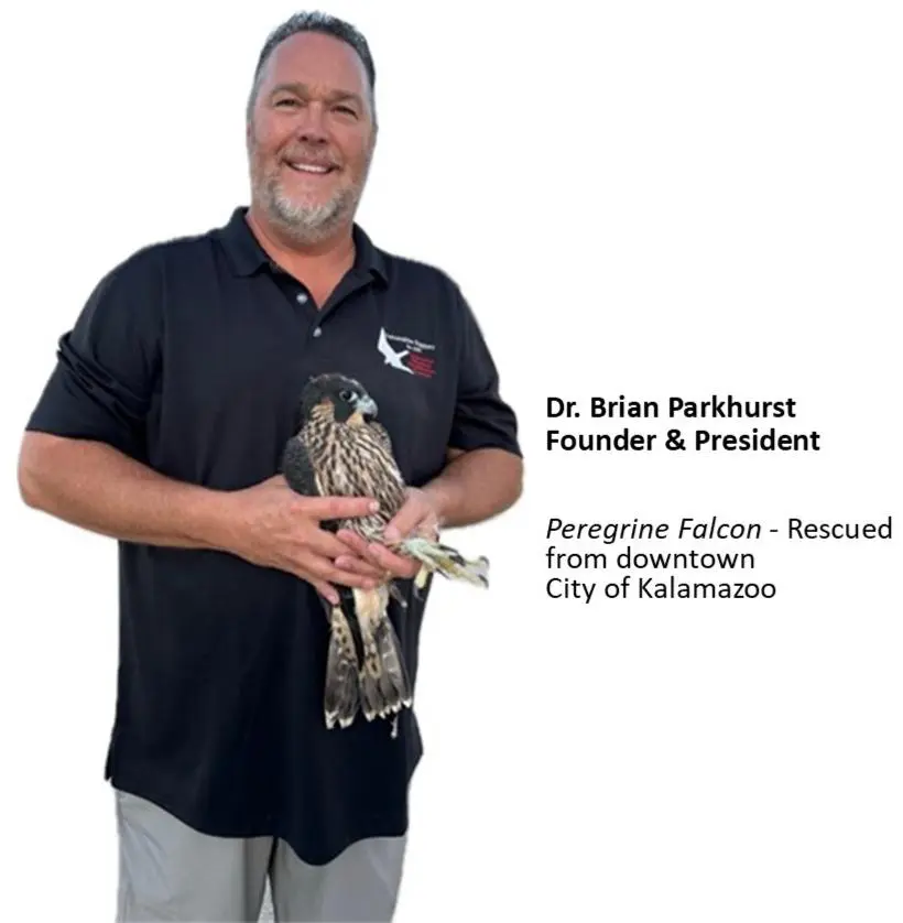 Dr. Brian with Peregrine for website