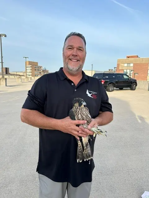 Man holding a falcon on rooftop.