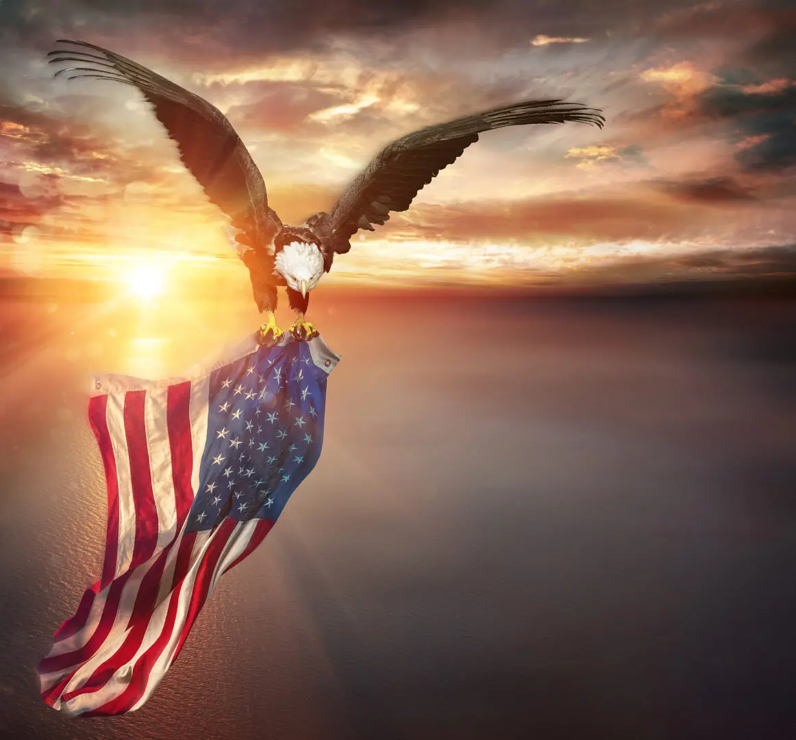 Eagle With American Flag Flies In Freedom At Sunset - Vintage To Eagle With American Flag Flies In Freedom At Sunset - Vintage Toned